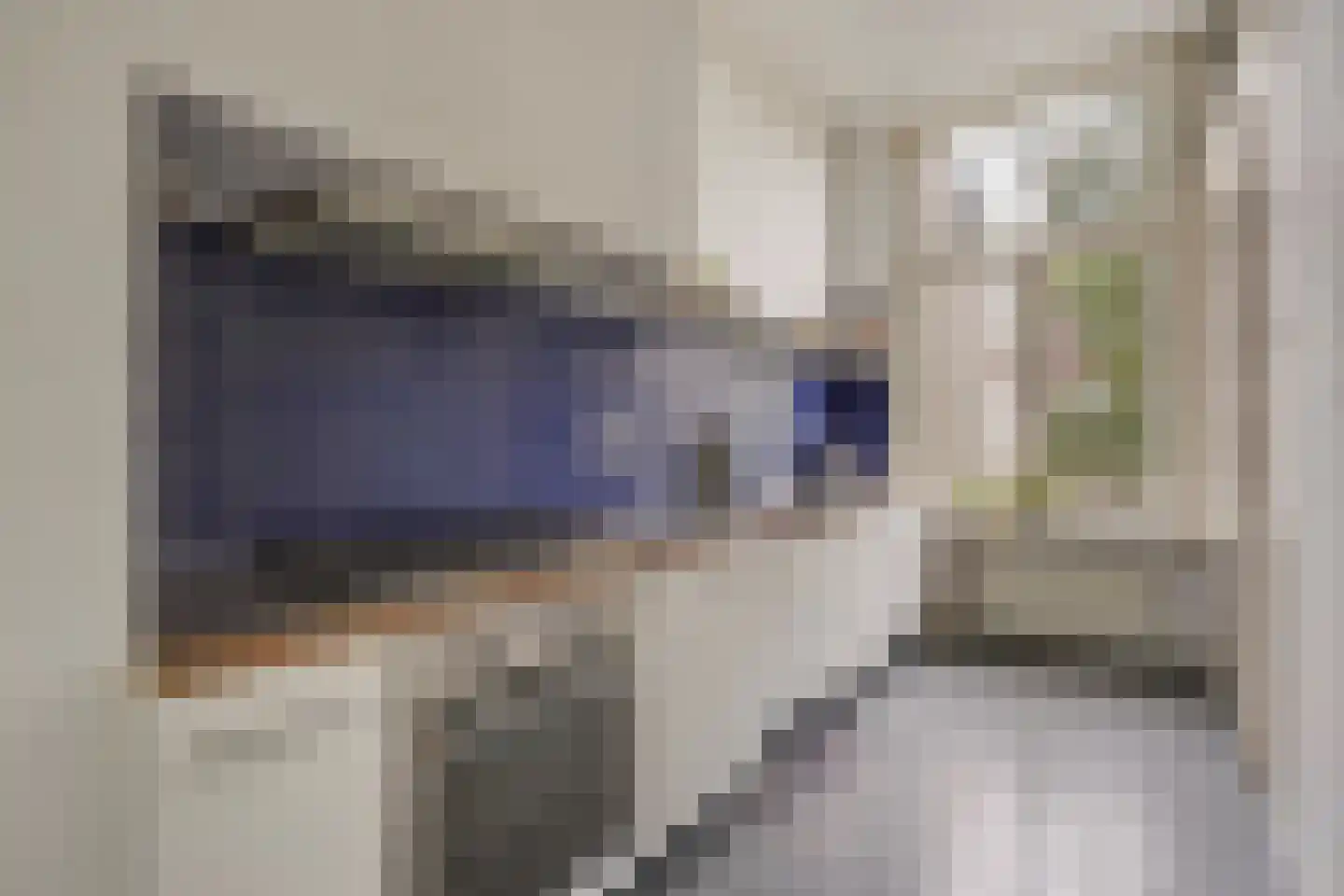 Snelliusstraat 22 Den Haag thumbnail 31