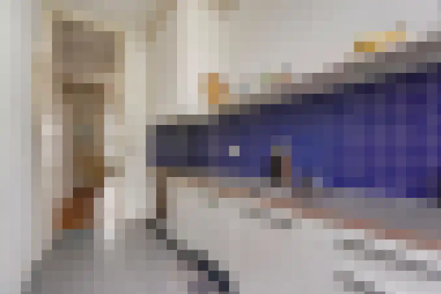Snelliusstraat 22 Den Haag thumbnail 31