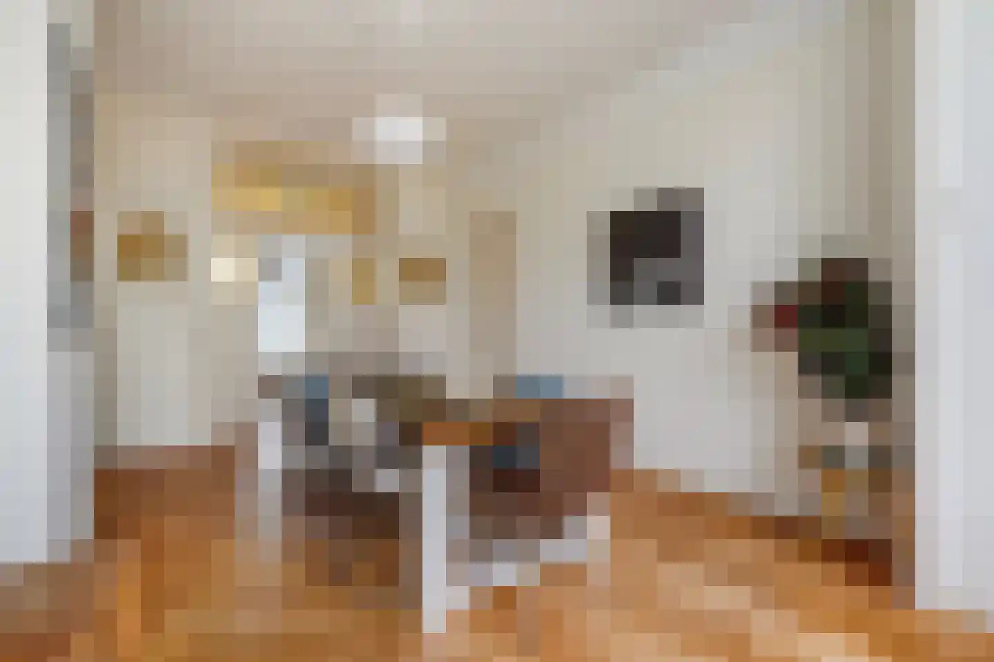 Snelliusstraat 22 Den Haag thumbnail 4