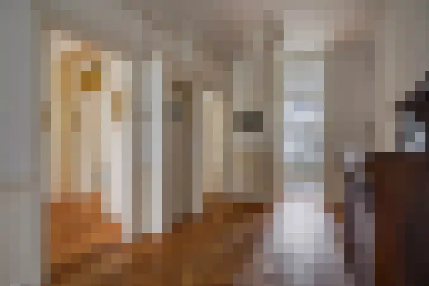 Snelliusstraat 22 Den Haag thumbnail 6