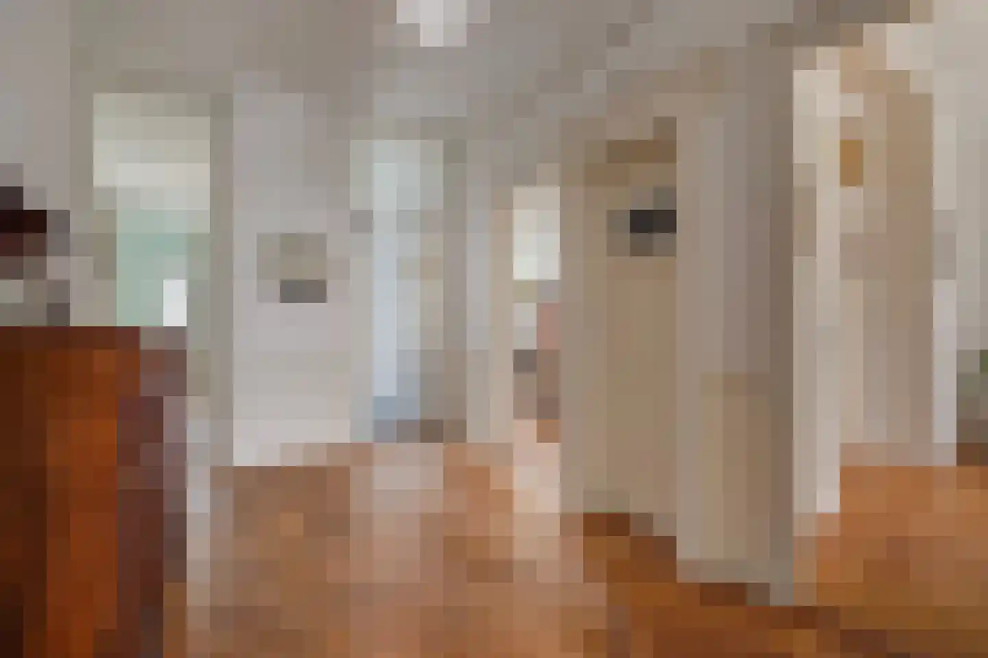 Snelliusstraat 22 Den Haag thumbnail 7