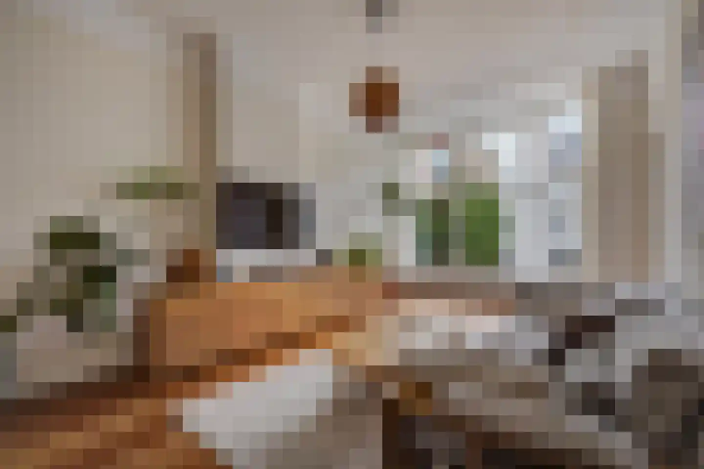 Snelliusstraat 22 Den Haag thumbnail 8