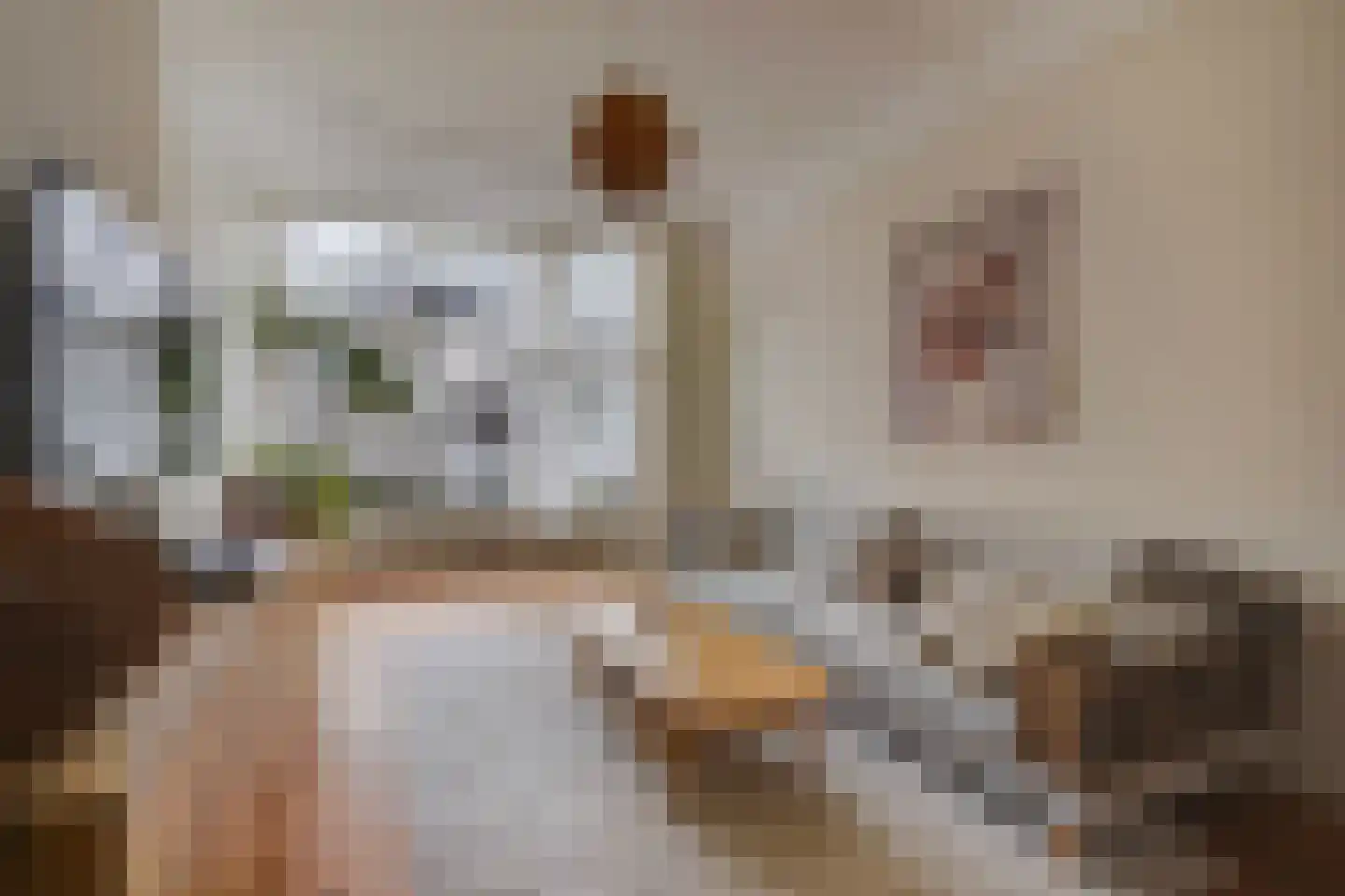 Snelliusstraat 22 Den Haag thumbnail 9