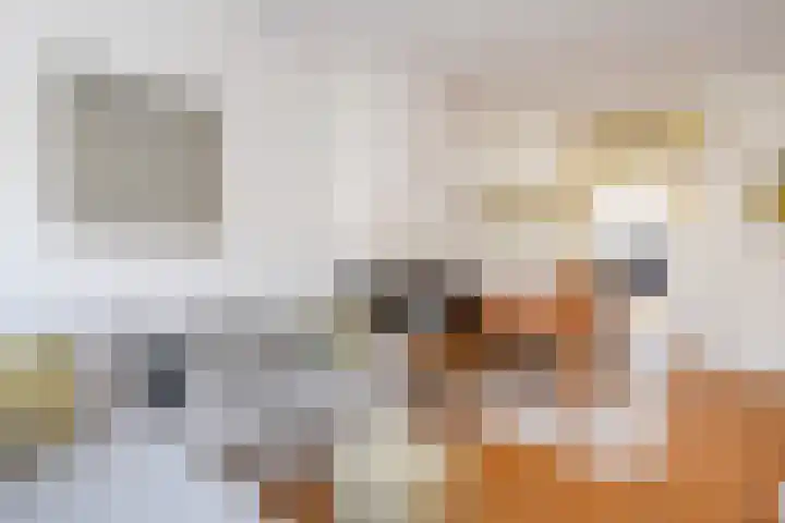 Snelliusstraat 29 Den Haag thumbnail 11