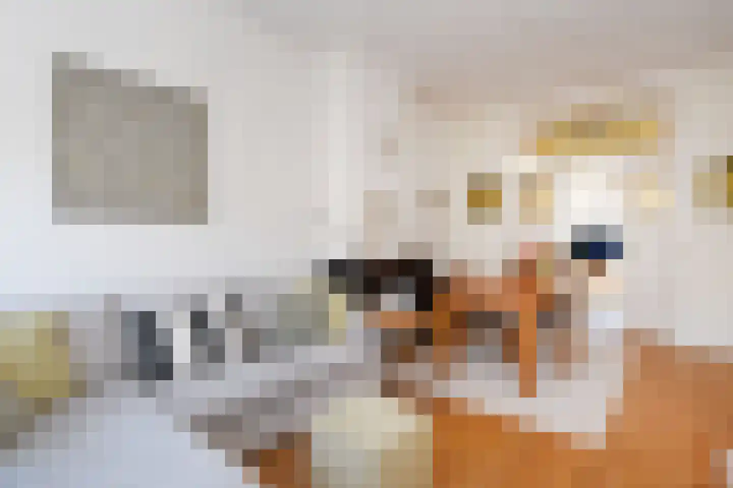Snelliusstraat 29 Den Haag thumbnail 11