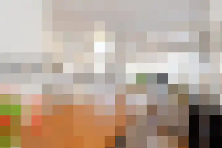Snelliusstraat 29 Den Haag thumbnail 14
