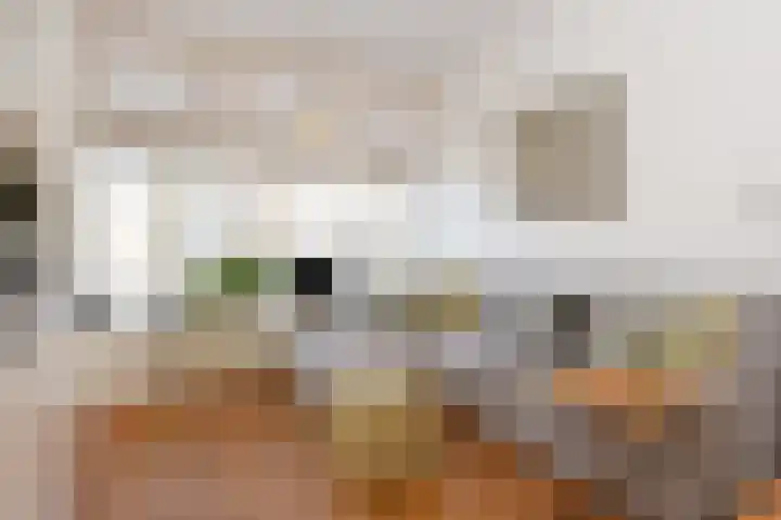 Snelliusstraat 29 Den Haag thumbnail 16
