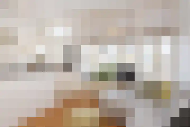 Snelliusstraat 29 Den Haag thumbnail 17