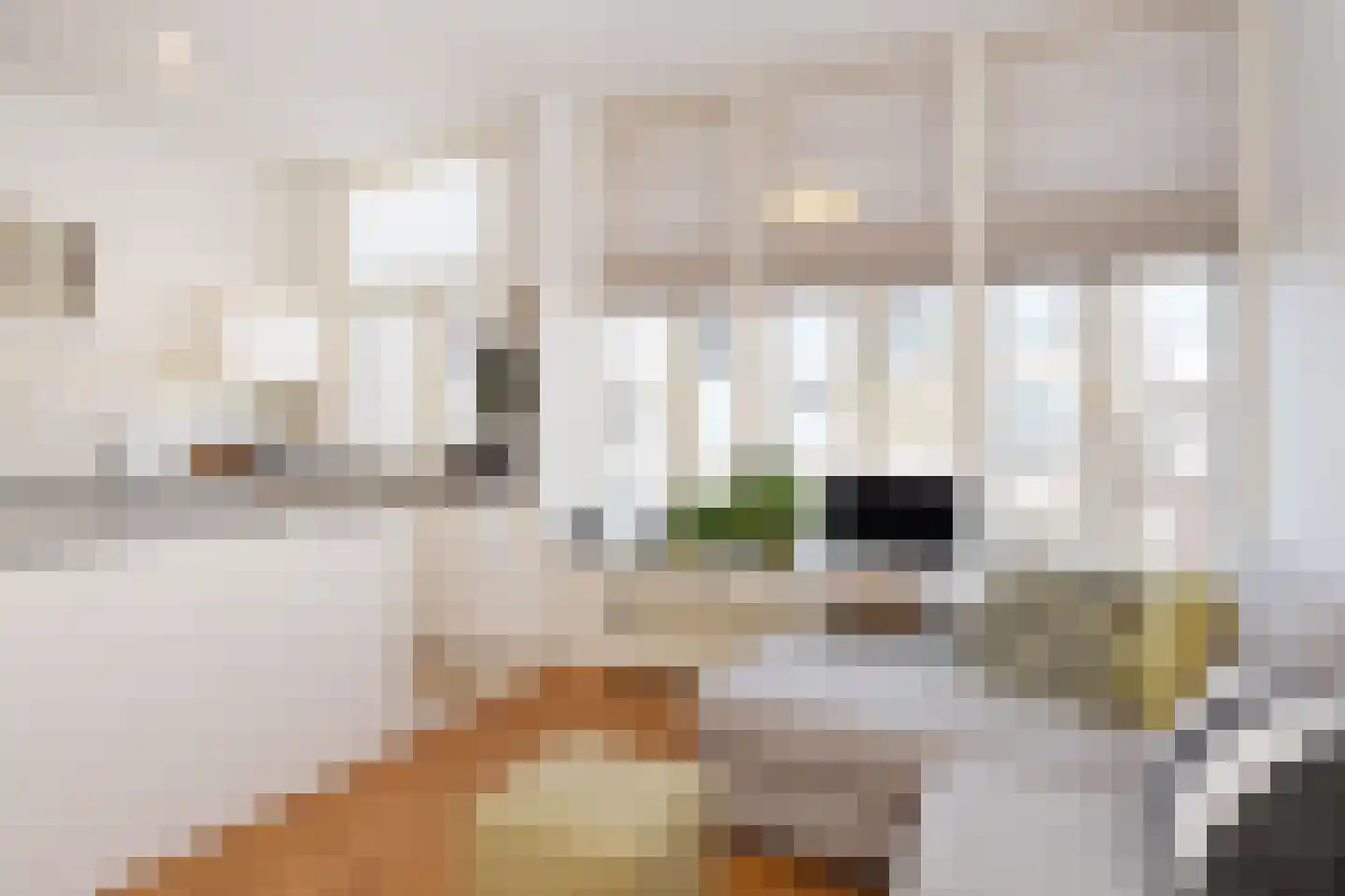 Snelliusstraat 29 Den Haag thumbnail 17