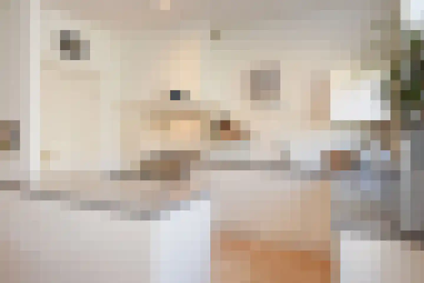 Snelliusstraat 29 Den Haag thumbnail 18