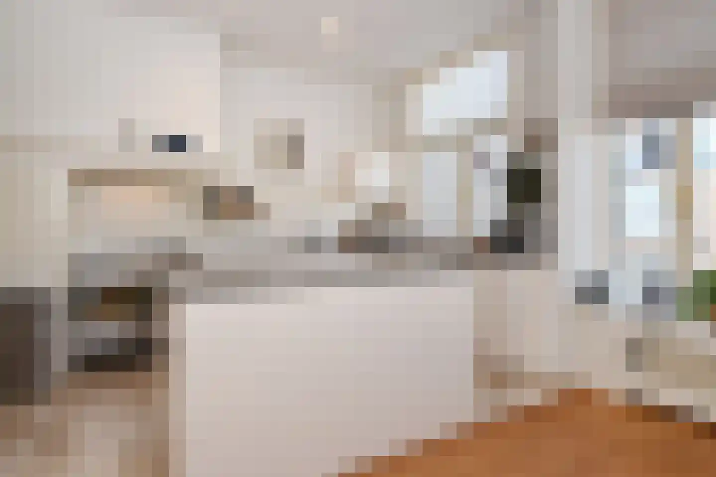Snelliusstraat 29 Den Haag thumbnail 19