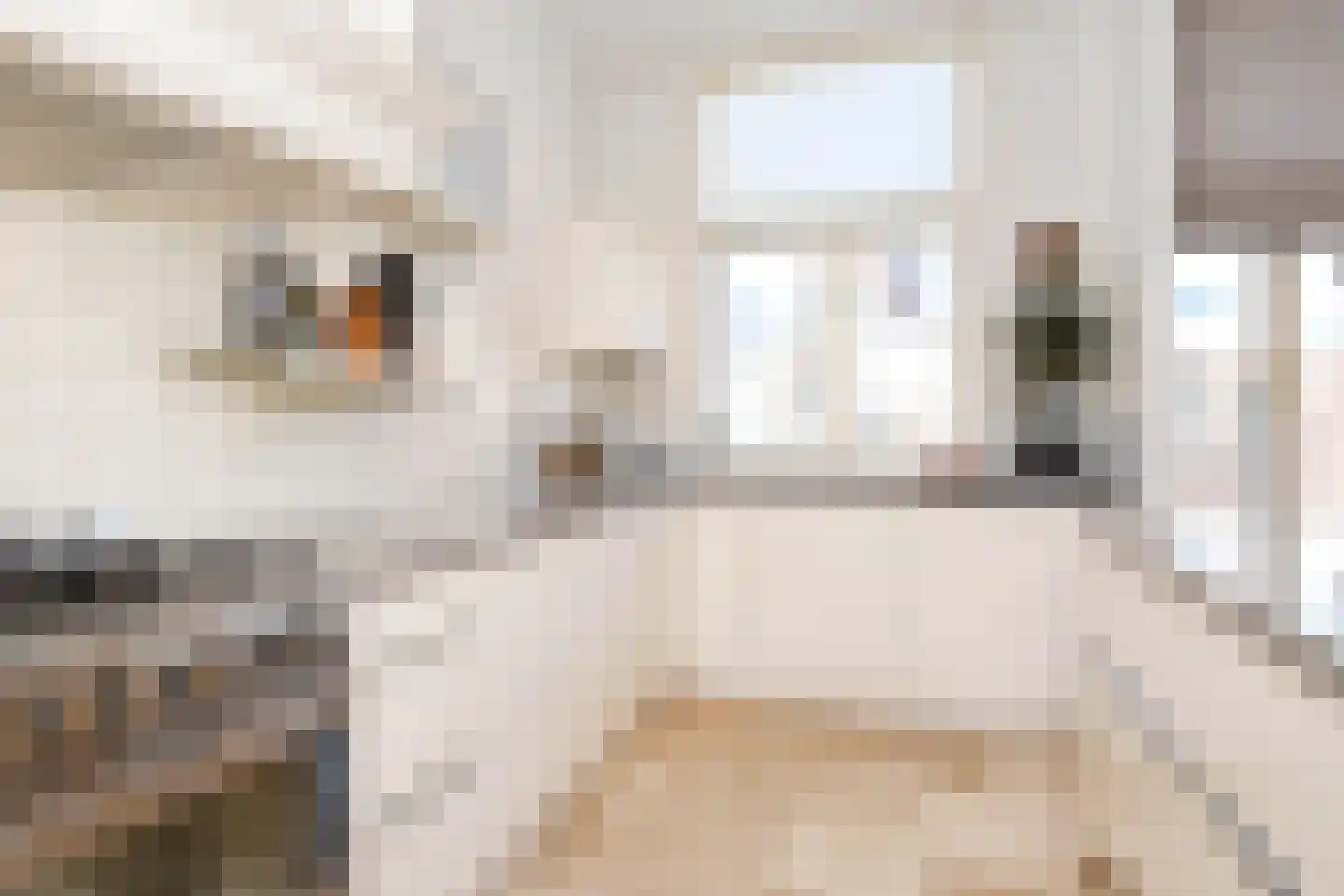 Snelliusstraat 29 Den Haag thumbnail 20