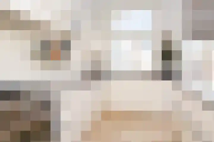 Snelliusstraat 29 Den Haag thumbnail 20