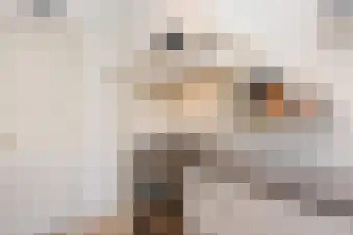 Snelliusstraat 29 Den Haag thumbnail 22