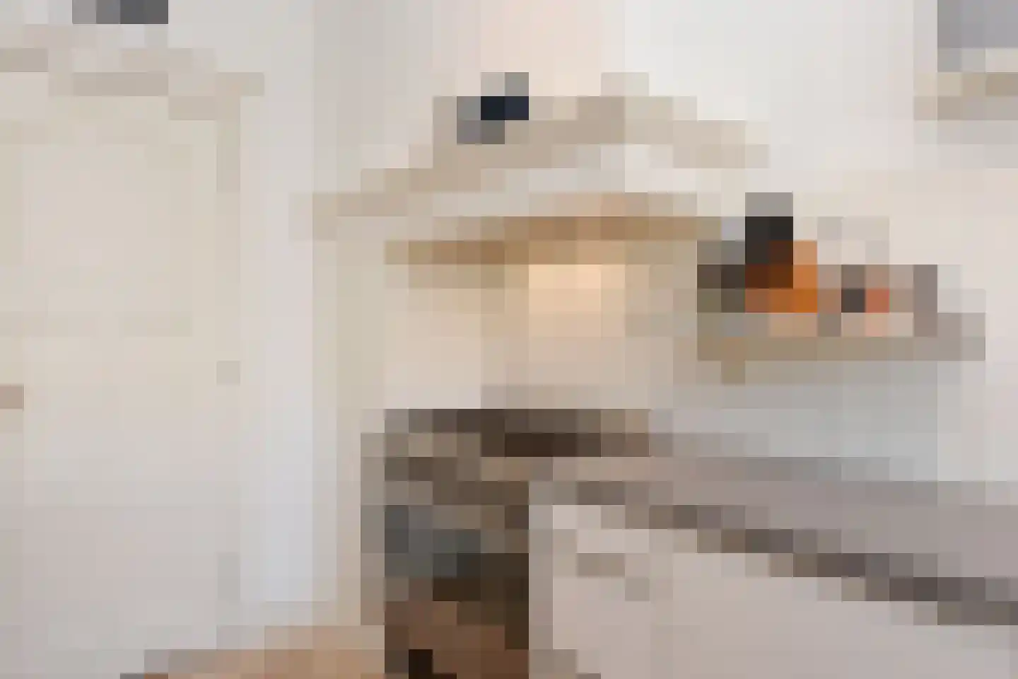 Snelliusstraat 29 Den Haag thumbnail 22