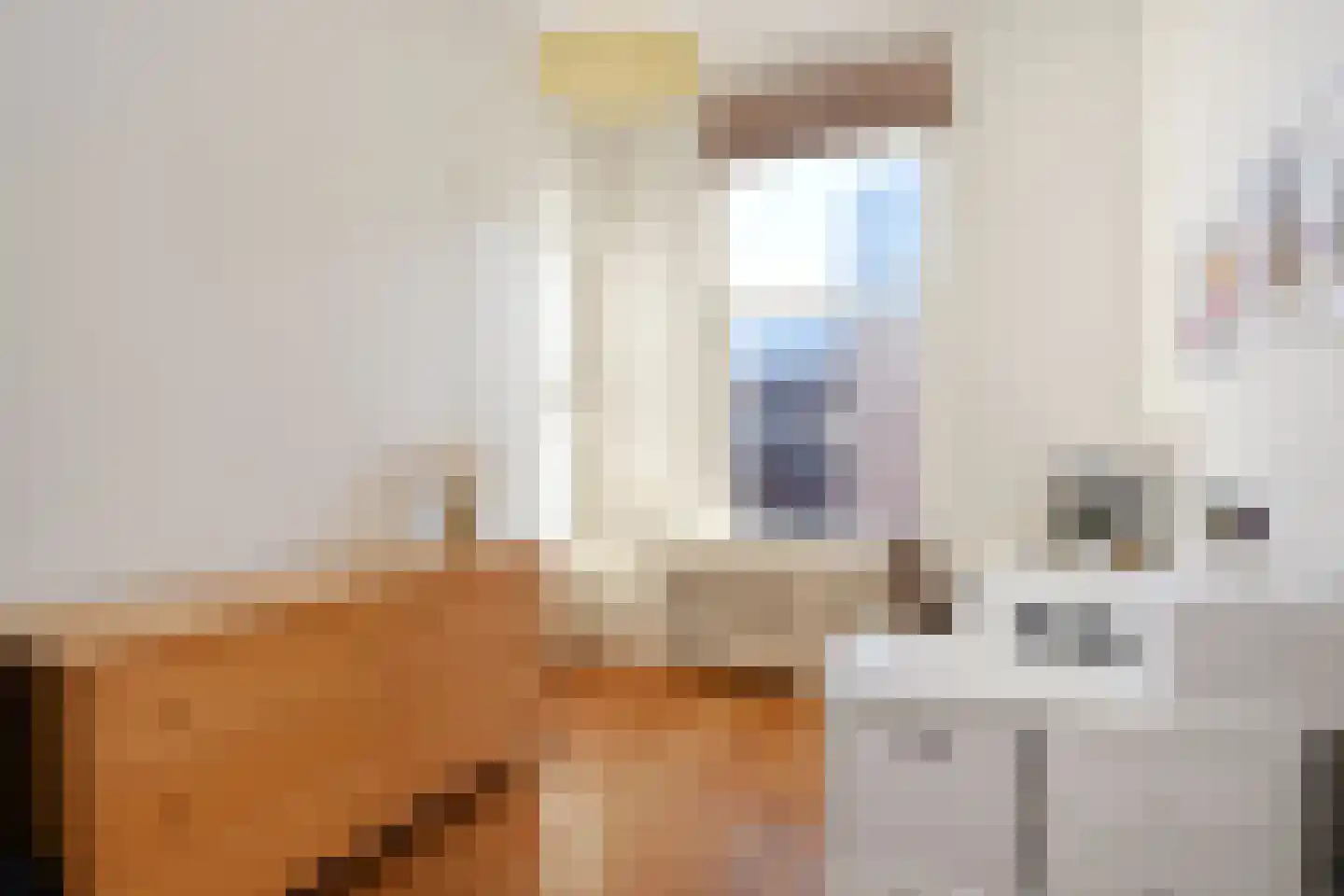 Snelliusstraat 29 Den Haag thumbnail 25