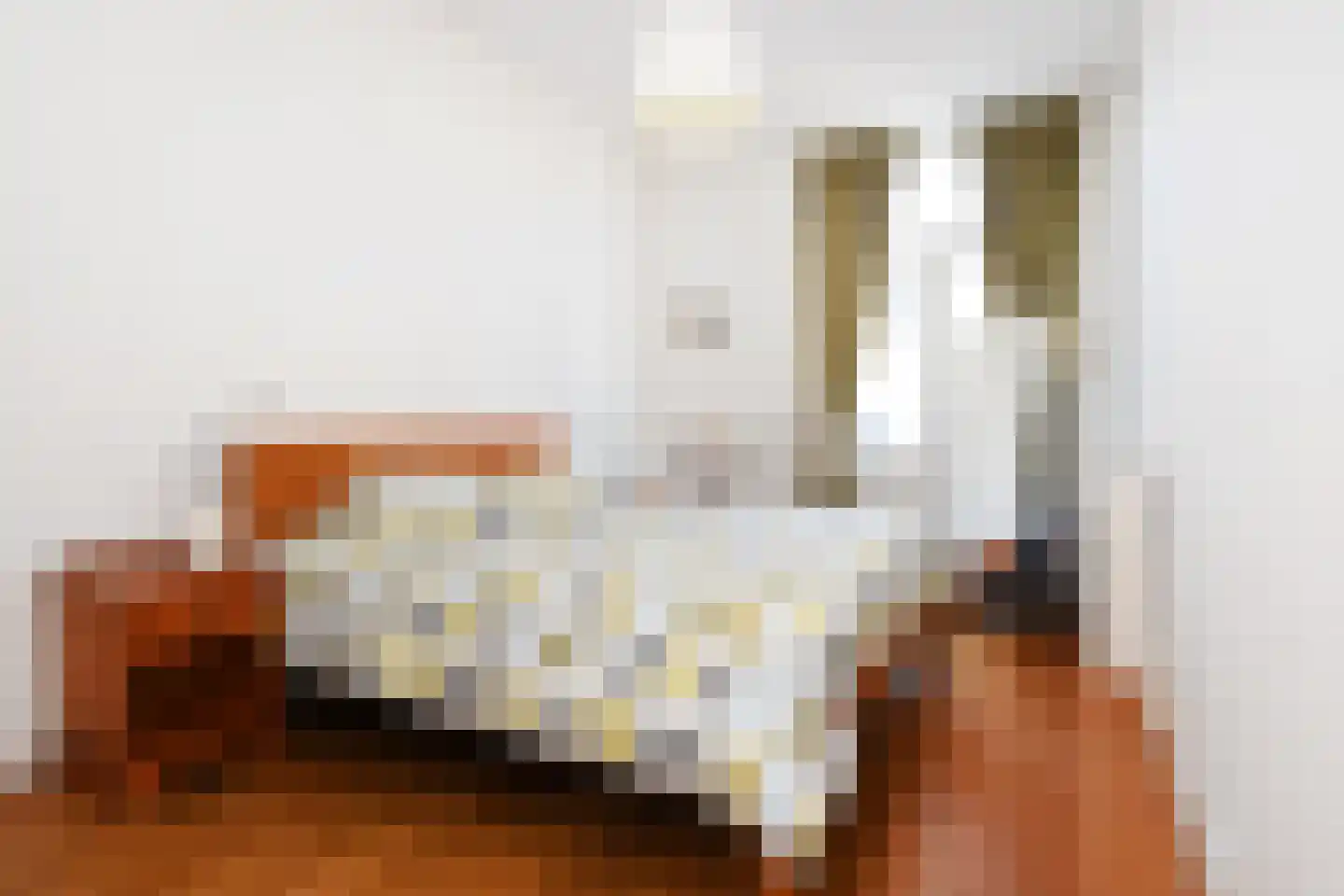 Snelliusstraat 29 Den Haag thumbnail 26