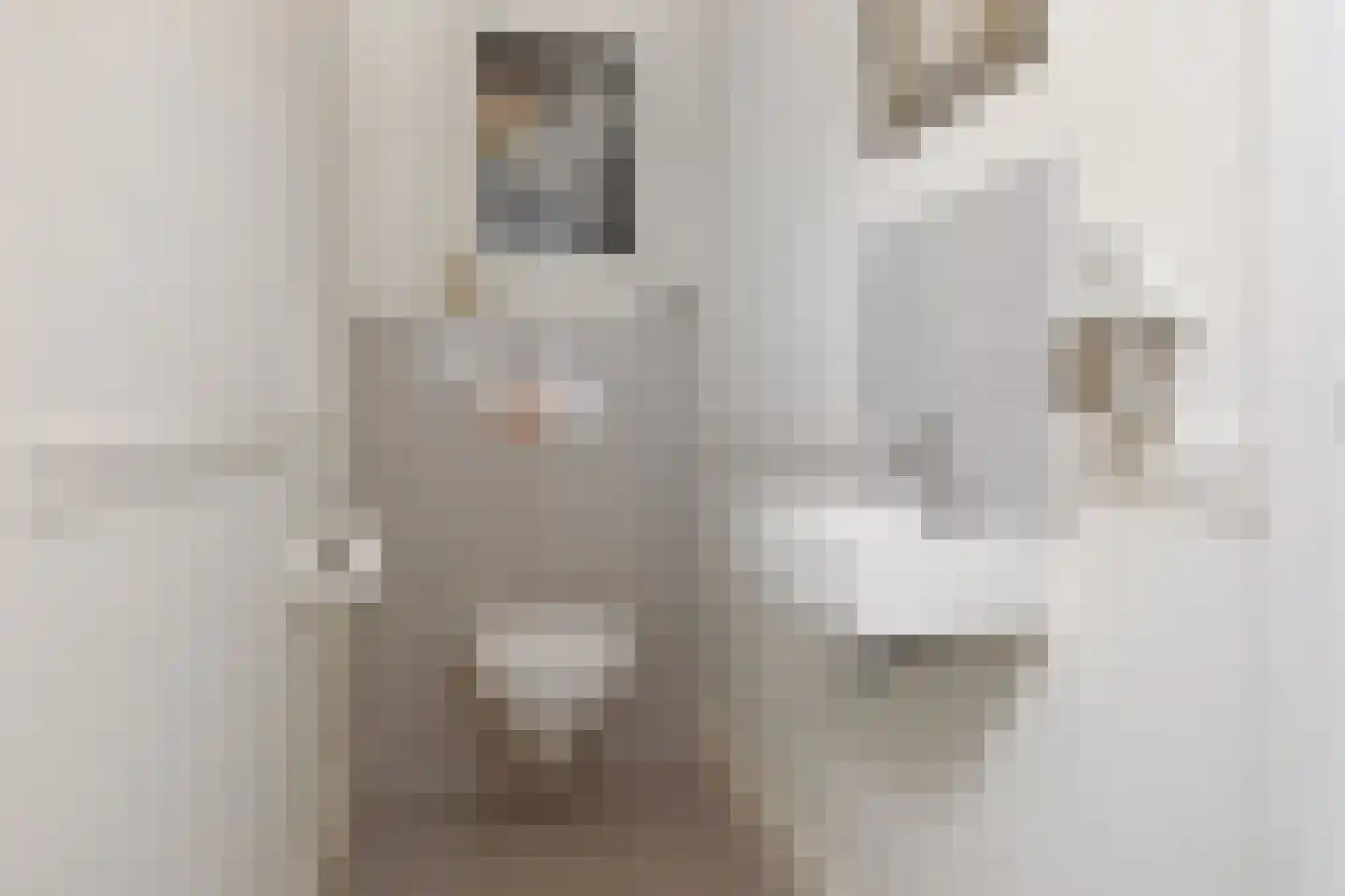 Snelliusstraat 29 Den Haag thumbnail 32