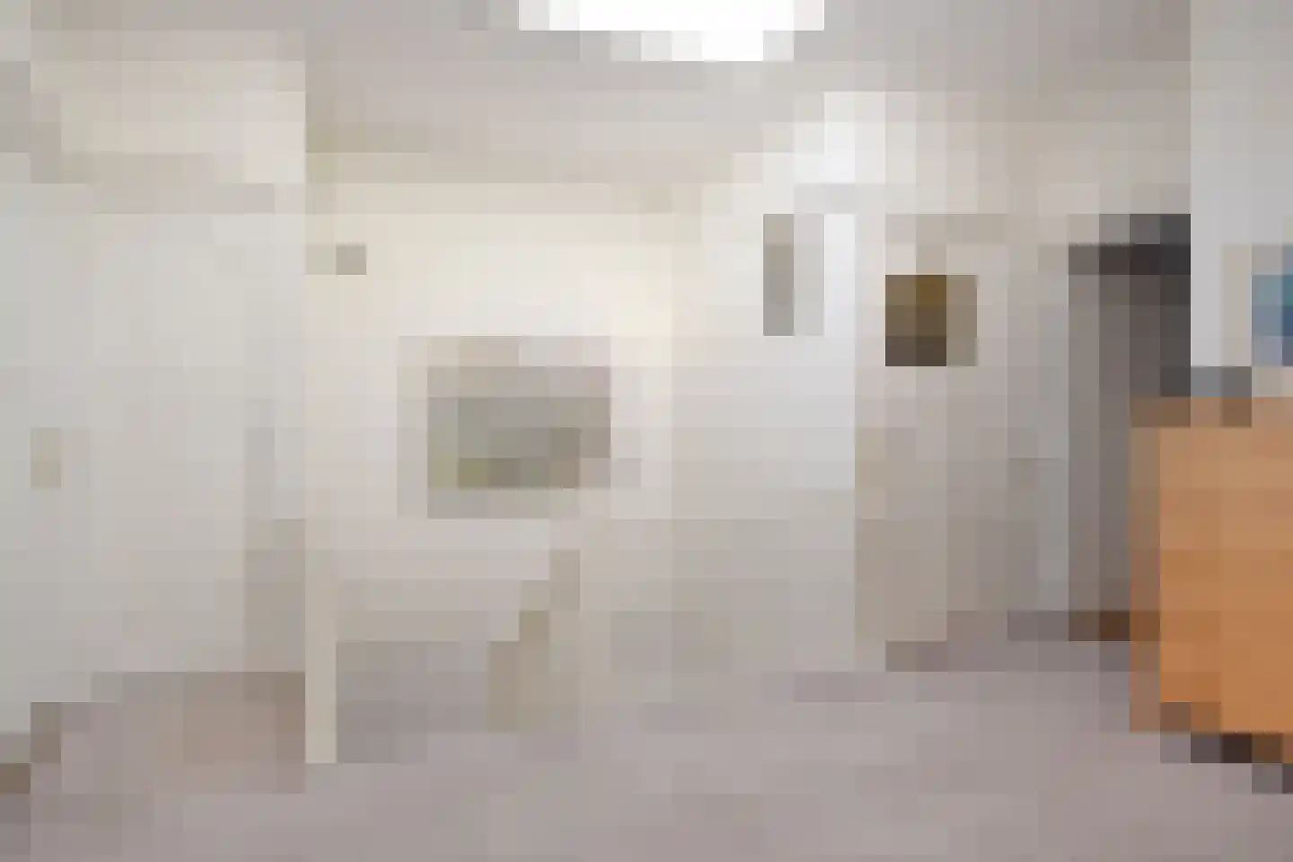 Snelliusstraat 29 Den Haag thumbnail 4