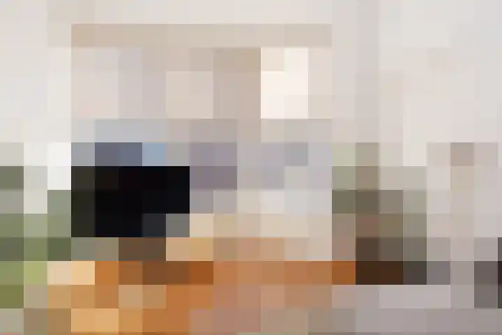 Snelliusstraat 29 Den Haag thumbnail 7