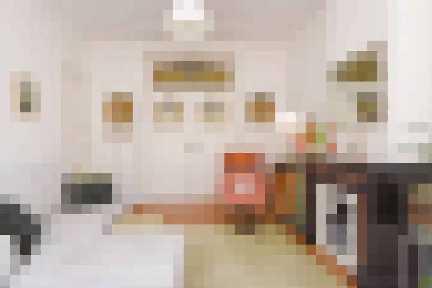 Snelliusstraat 29 Den Haag thumbnail 8