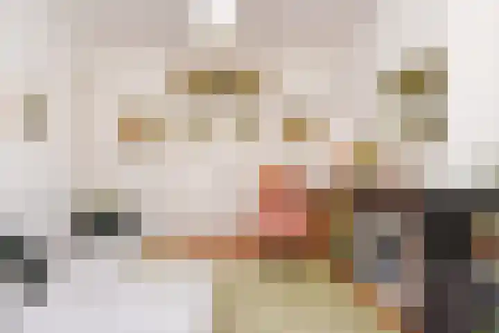 Snelliusstraat 29 Den Haag thumbnail 8