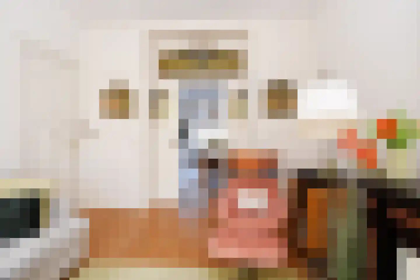 Snelliusstraat 29 Den Haag thumbnail 9