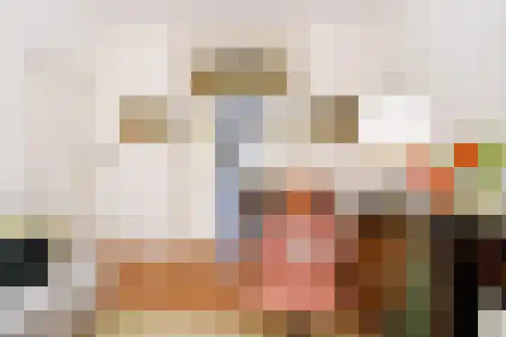 Snelliusstraat 29 Den Haag thumbnail 9