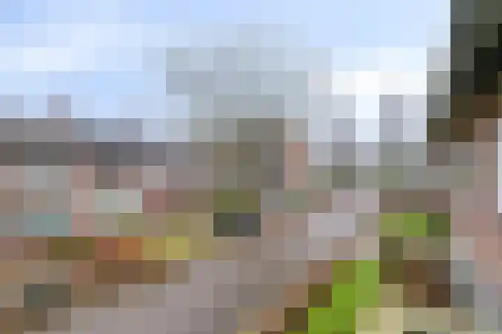 Snelliusstraat 3 Helmond thumbnail 11