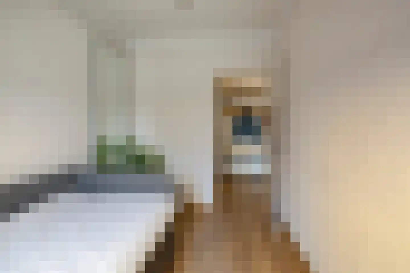 Snelliusstraat 38 Groningen thumbnail 35