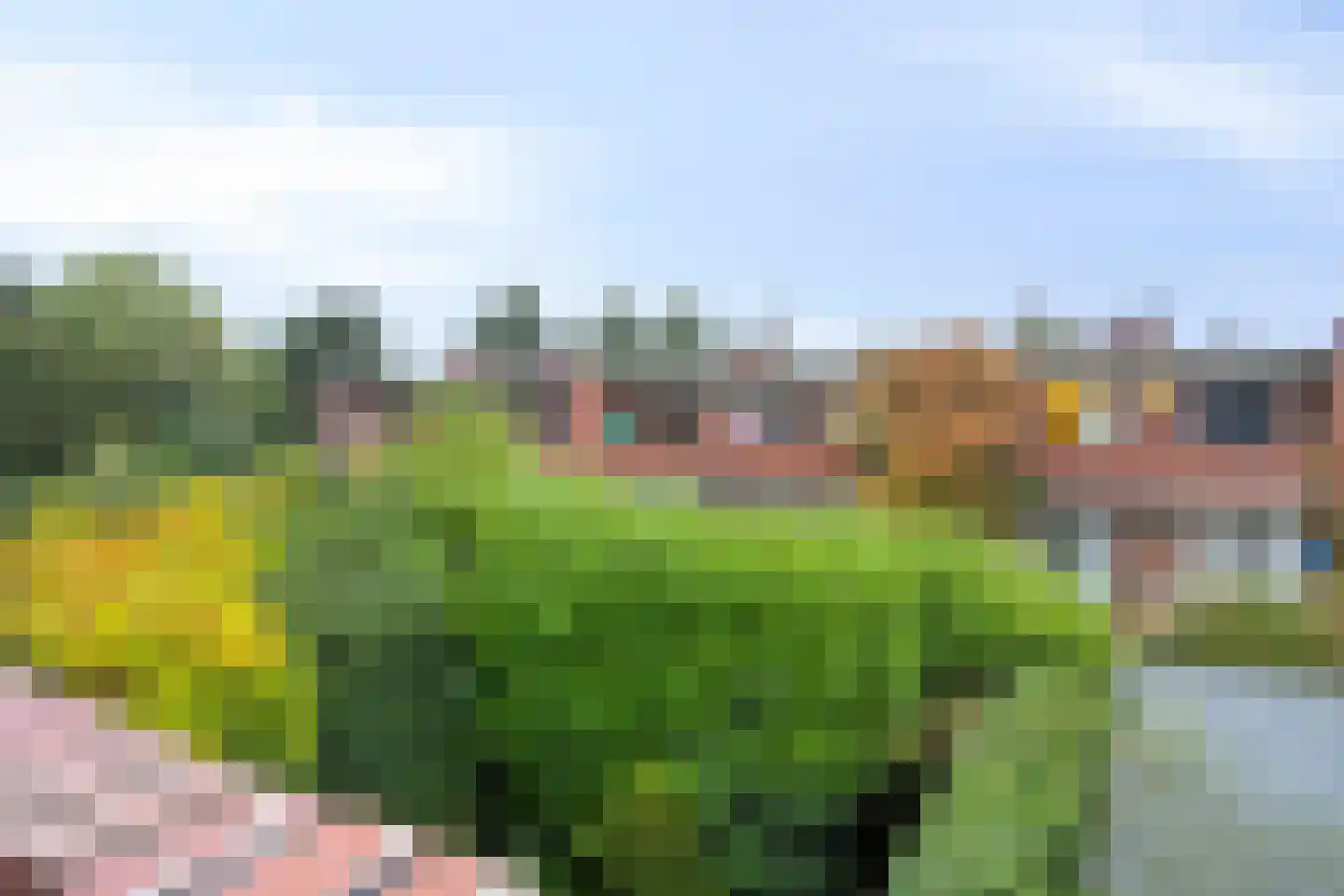 Snelliusstraat 38 Groningen thumbnail 41