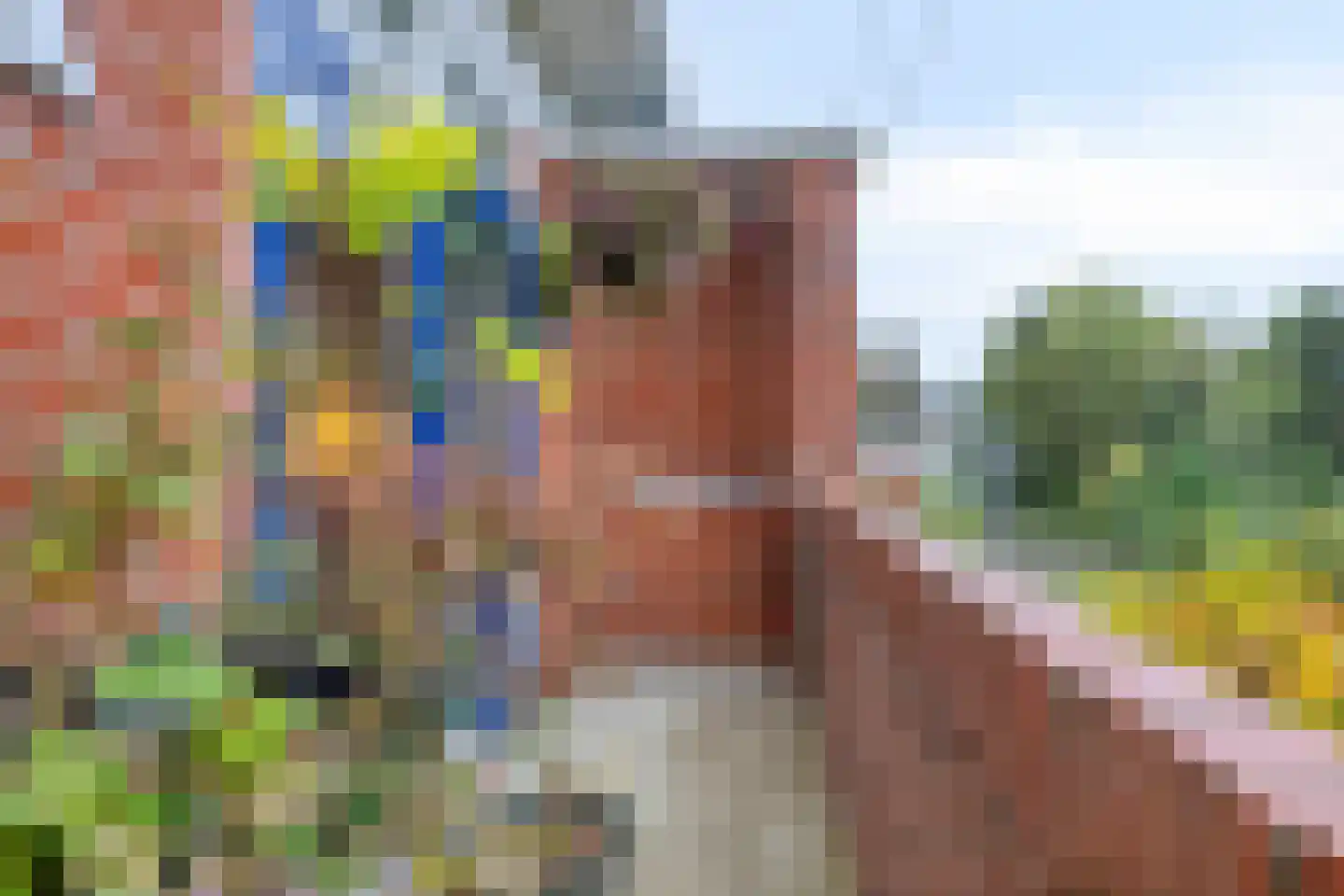 Snelliusstraat 38 Groningen thumbnail 42