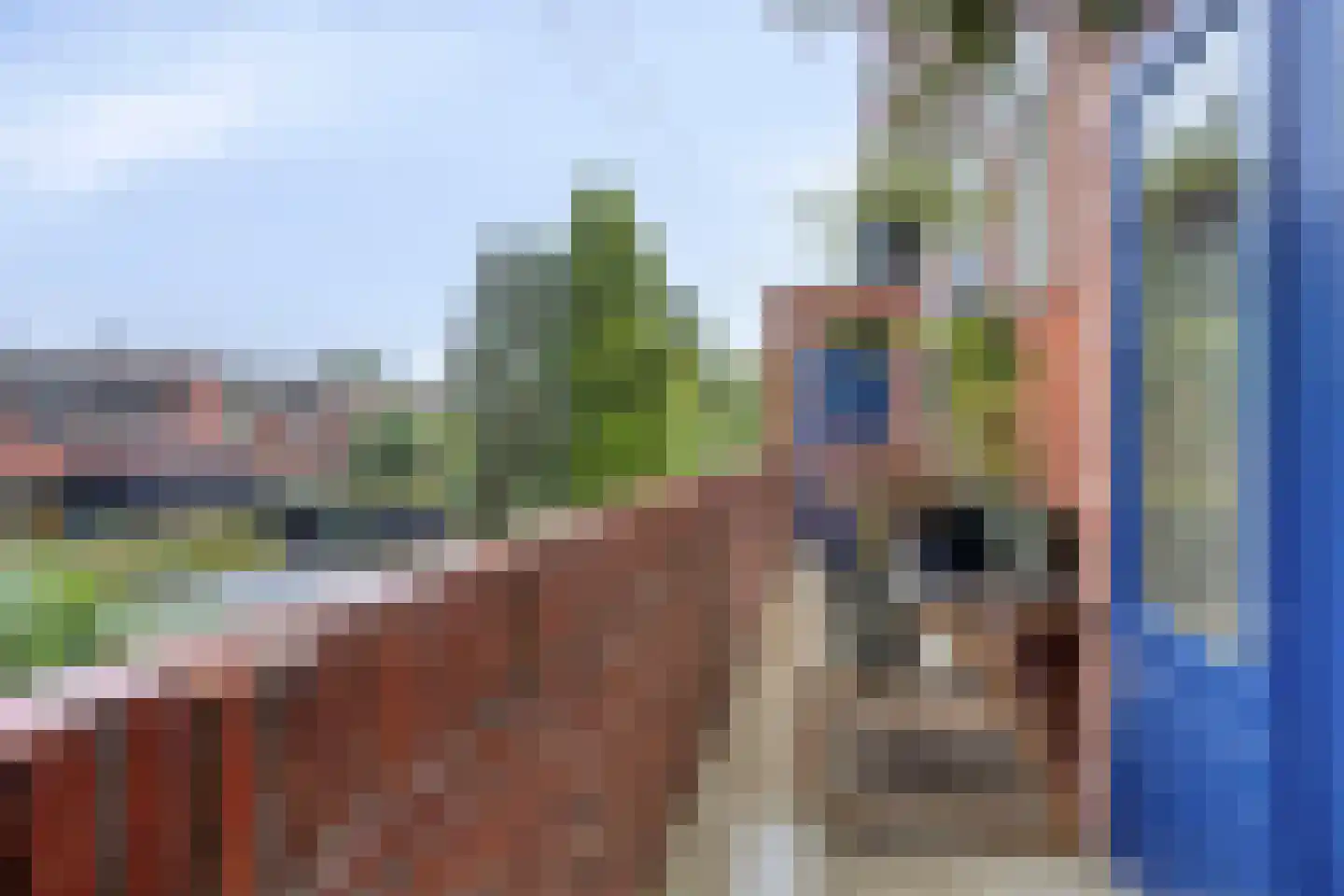 Snelliusstraat 38 Groningen thumbnail 43