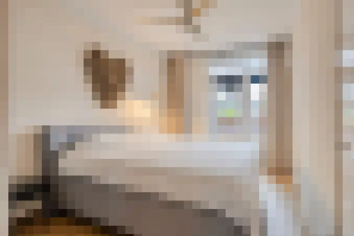Snelliusstraat 38 Groningen thumbnail 8