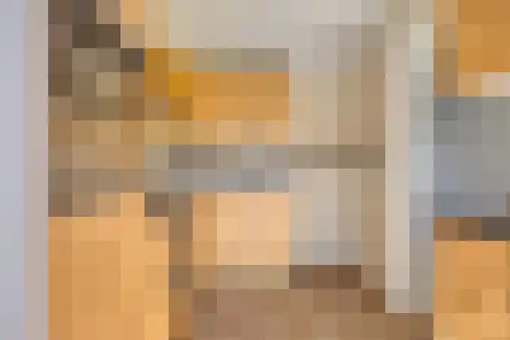 Snelliusstraat 5 Oosterhout thumbnail 10