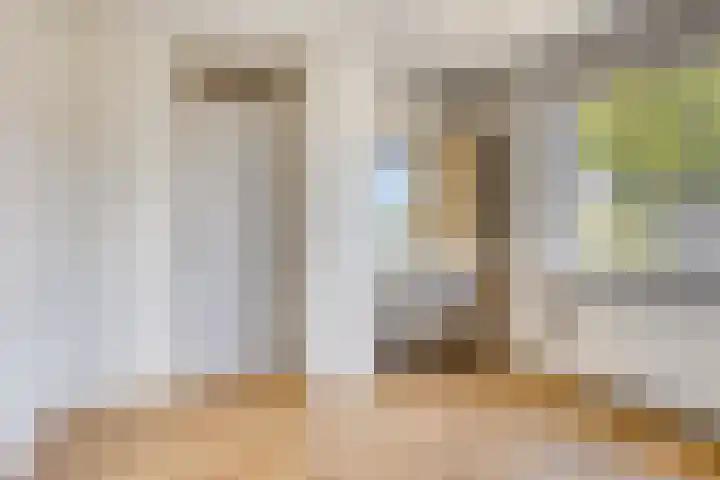 Snelliusstraat 5 Oosterhout thumbnail 14