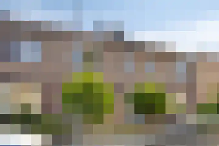 Snelliusstraat 5 Oosterhout thumbnail 30