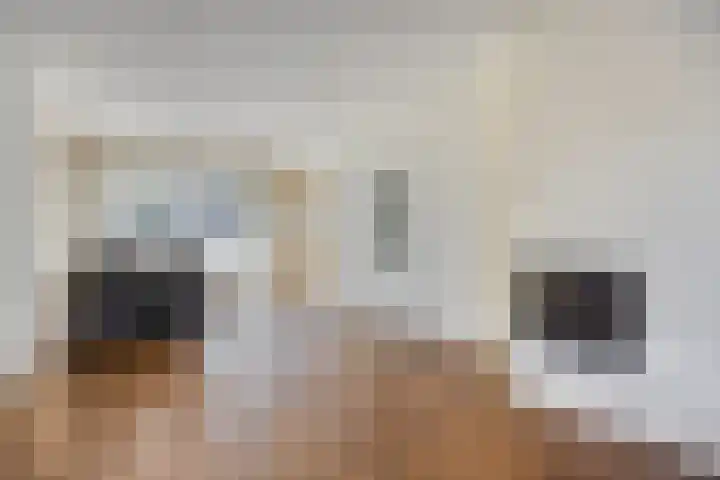 Snelliusstraat 5 Oosterhout thumbnail 5