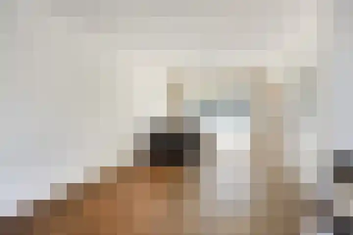 Snelliusstraat 5 Oosterhout thumbnail 6