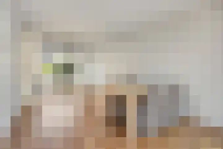 Snelliusstraat 5 Oosterhout thumbnail 8