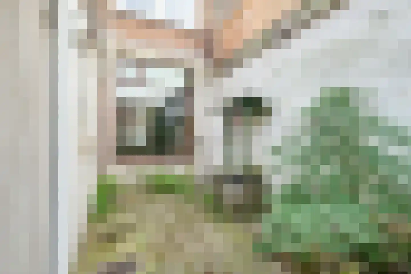 Snelliusstraat 6 IJmuiden thumbnail 22