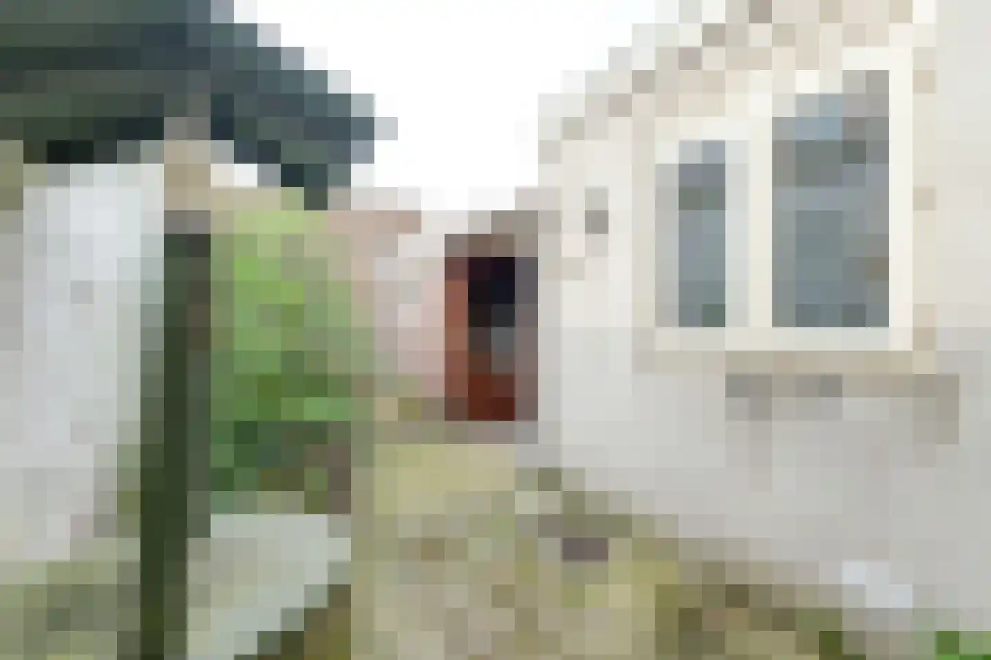 Snelliusstraat 6 IJmuiden thumbnail 24
