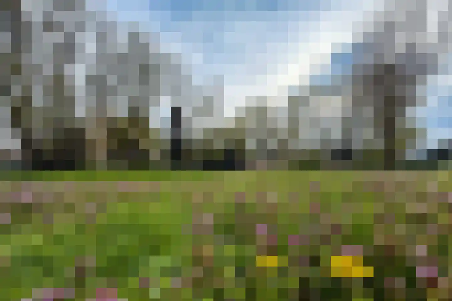Snelliusstraat 6 IJmuiden thumbnail 54