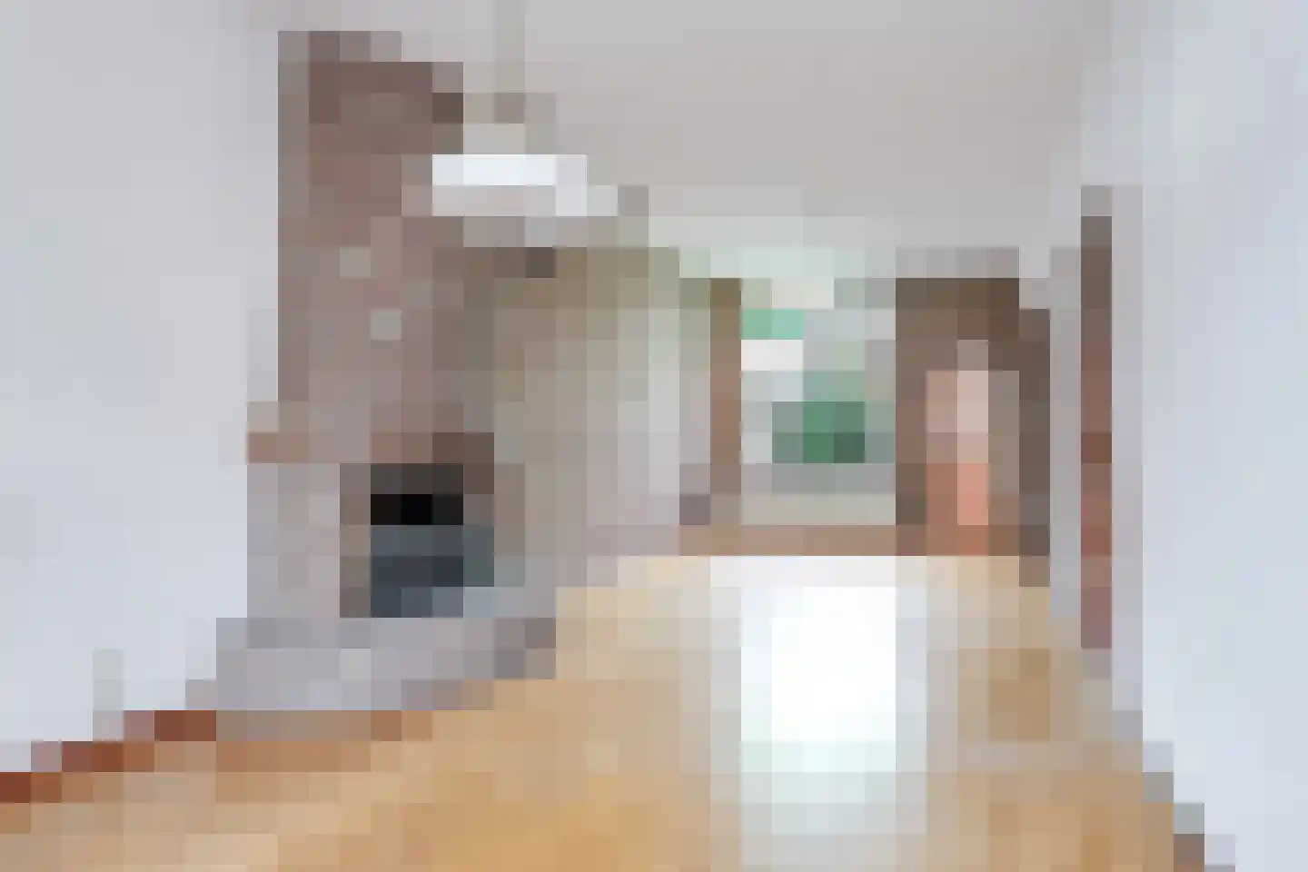 Snelliusstraat 6 IJmuiden thumbnail 9