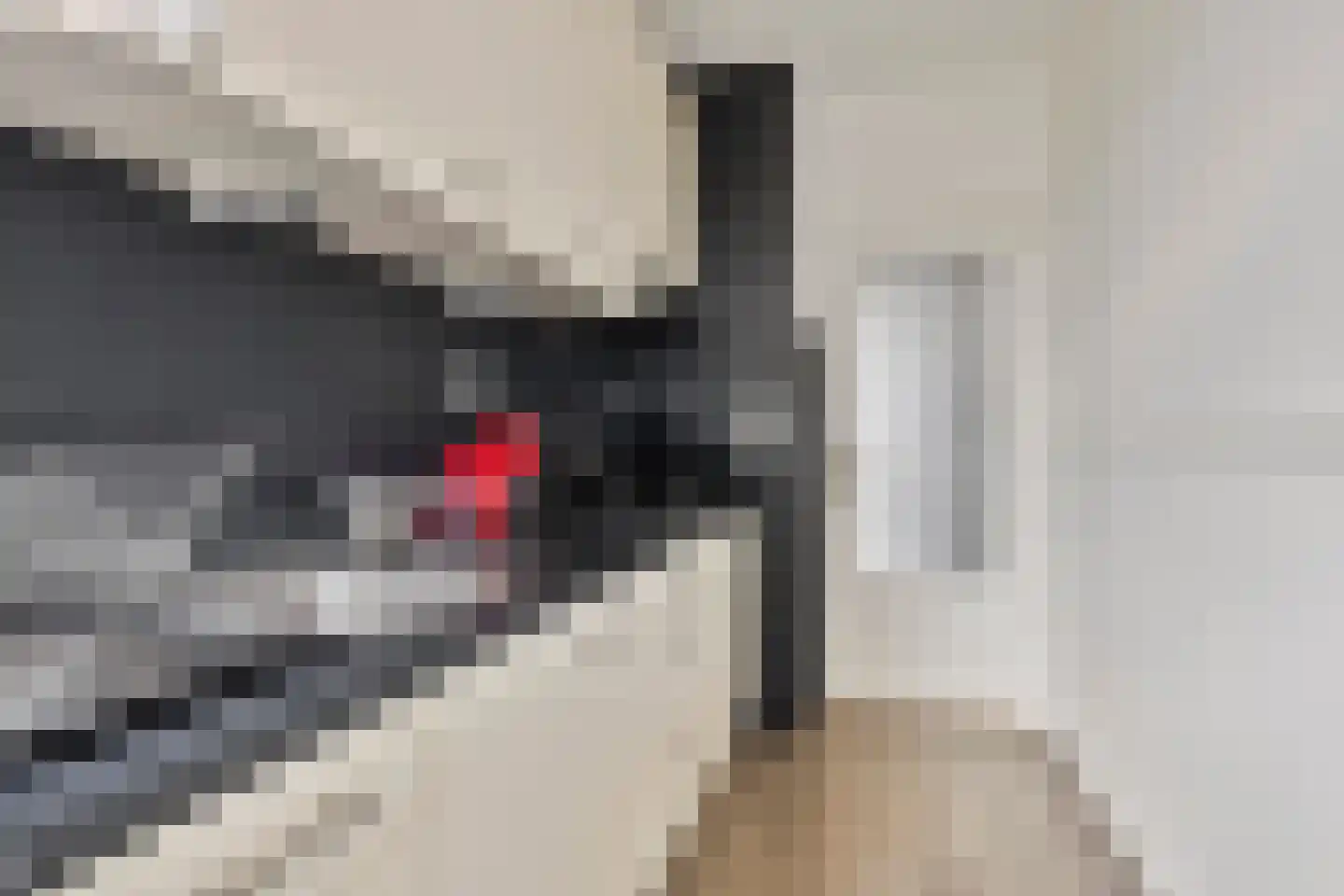 Snelliusstraat 62 Groningen thumbnail 20