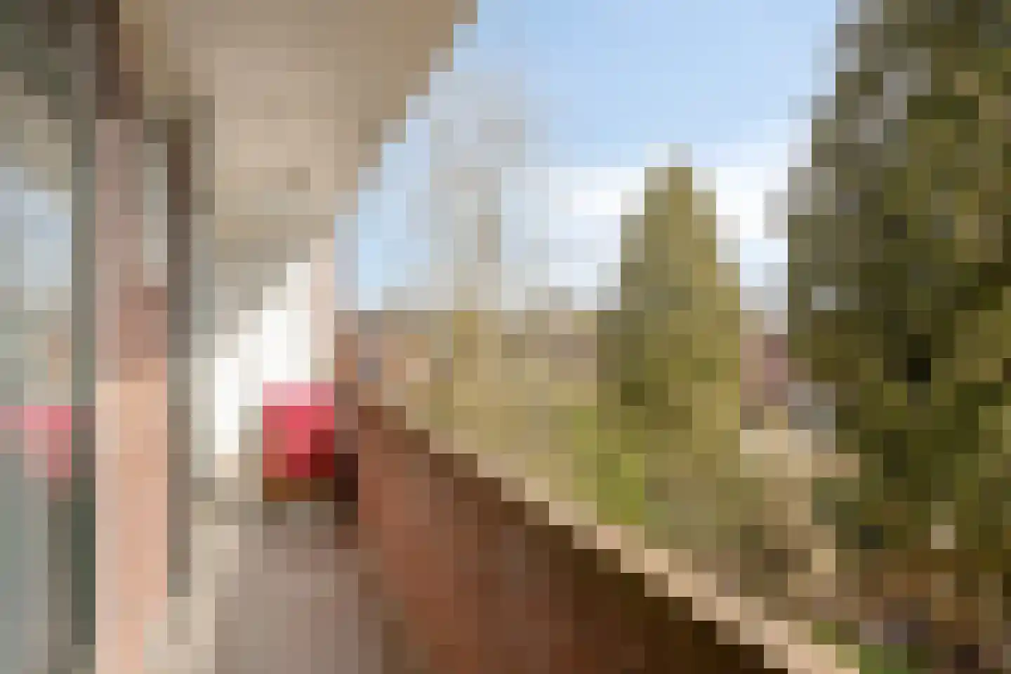Snelliusstraat 62 Groningen thumbnail 31