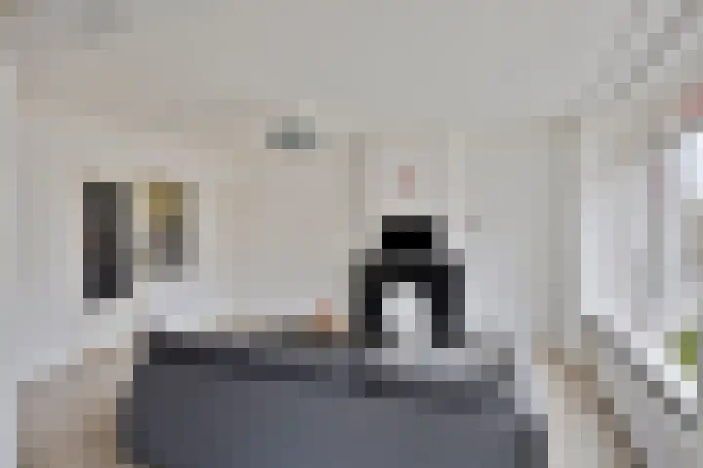 Snelliusstraat 62 Groningen thumbnail 8