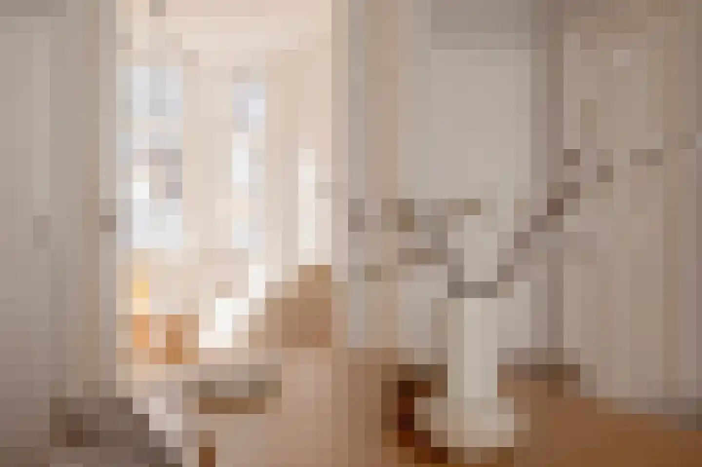 Snelliusstraat 7 Den Haag thumbnail 20