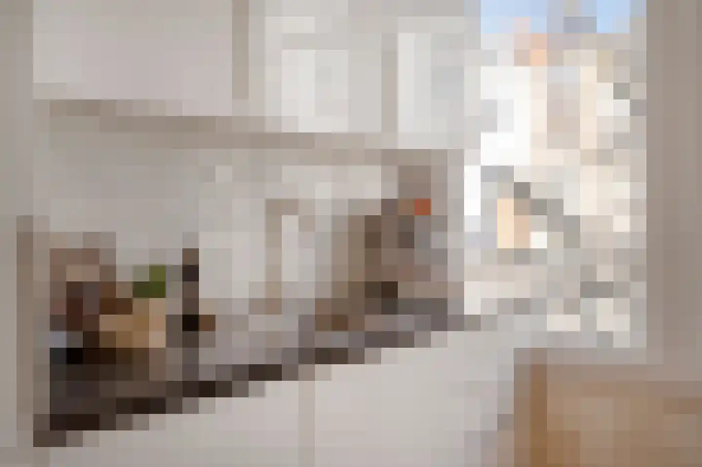 Snelliusstraat 7 Den Haag thumbnail 26