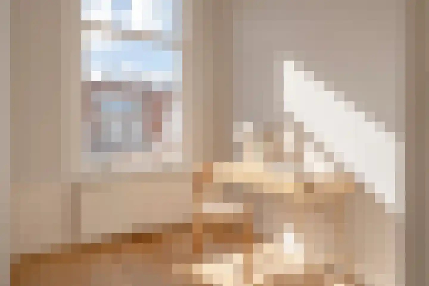 Snelliusstraat 7 Den Haag thumbnail 29